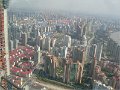 Shanghai (346)